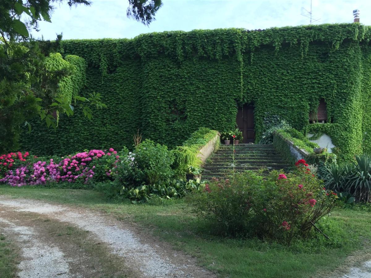 B&B Corte Vo Grande Пегоньага Экстерьер фото