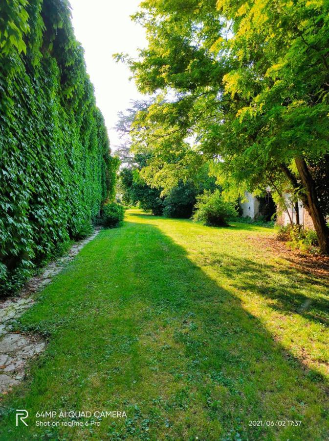 B&B Corte Vo Grande Пегоньага Экстерьер фото